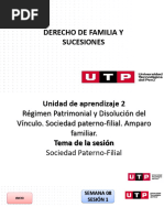 S08 - s1 - Derecho de Familia y Sucesiones - I - UTP - 2024