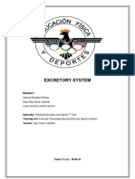 Excretory System Report