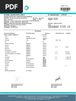 Informe