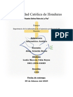 Importancia de La Informática en El Ejercicio Profesional Del Derecho (Ensayo)