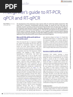 A Beginner's Guide To RT-PCR