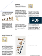 Broșura Evoluția Umană