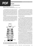 BF Thermo