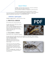 Classification of Insects Orders of Insects