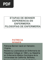 Etapas de La Experiencia en Enfermería de Benner Filosofías de Enfermería