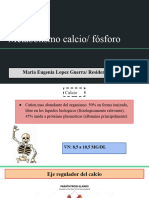 Metabolismo Calcio - Fósforo