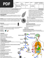 Amibiasis y Giardiasis