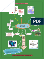 Computer Networks Mind Map