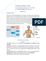 Updated Central and Peripheral Nervous System Test