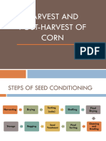 5 Harvest and Post Harvest of Corn