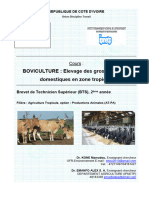 Boviculture Et Elevage Des Petits Ruminants-1