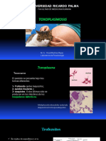 Clase 13 - Toxoplasmosis