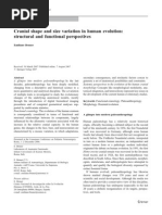 Cranial Shape and Size Variation in Human Evolution: Structural and Functional Perspectives