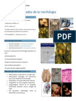 PDF Tipeo Anatomía