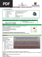 Sesion de Tutoria 28 de Mayo Valoramos La Madre Tierra