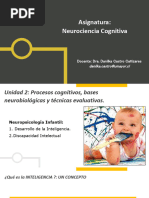 Taller 3 - Neuropsicología Infanto-Juvenil - Inteligencia y Discapacidad Intelectual 2023