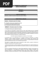 Recurso 9. Proceso Eje Penal