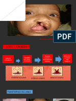 5fisiopatologias y Transtorno Del Labio.4 Clase