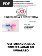 Diapositiva Gineco Gestorragia