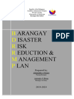 Approved BDRRM Plan