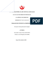 Trabajo de Suficiencia de TEDDY 24 de Octubre Del 2023