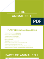 Animal Cell 3.0