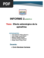 Informe Adrenalina.2