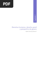 Derechos Humanos, Derecho Penal y Perspectiva de Género