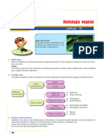 Ficha 15 - Histología Vegetal