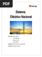 Sistema Eléctrico Nacional: Nombres