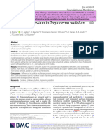 Cytokine Expression in Treponema Pallidum Infection