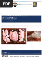 Técnicas Miofasciales Integrativas