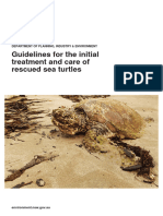 Rescued Sea Turtles Treatment Care Guidelines 210143