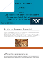 Tema 1 Los Sustratos Históricos de Nuestra Plurinacionalidad