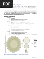 Microbiology