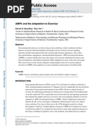 25 - 5 3AMPK and The Adaptation To Exercise