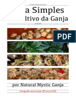 Guia Simples de Cultivo - Por Mystic