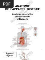 Anatomie APPAREIL Digestif Estomac Rate Schémas PDF