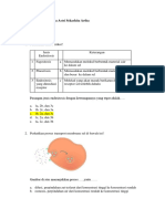 Soal Biologi Kelas 11 Semester 1 (Kurikulum Merdeka)