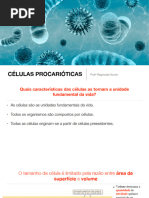 Aula 3 (Procariontes e Eucariontes)