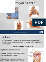 Treinamento Proteção Da Pele