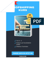 Dropshipping Kurs Für Anfänger Deutsch