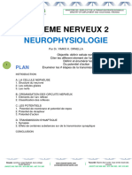 Physiologie Du Systeme Nerveux - Cismed-Sante 2023-2024