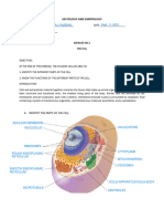 Exercise 1 Cell