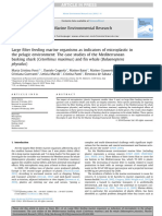 Large Filter Feeding Marine Organisms As Indicators of Microplastic in