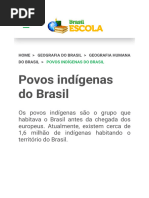 Povos Indígenas - Origem, Atualmente, Resumo - Brasil Escola