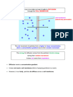 03 Movement in and Out of Cells