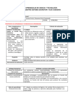 Sistema Excretor y Sus Cuidados