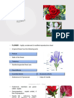 Morphology of Flowering Plants