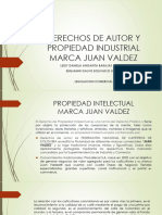 Actividad 5 Derechos de Autor y Propiedad Industrial